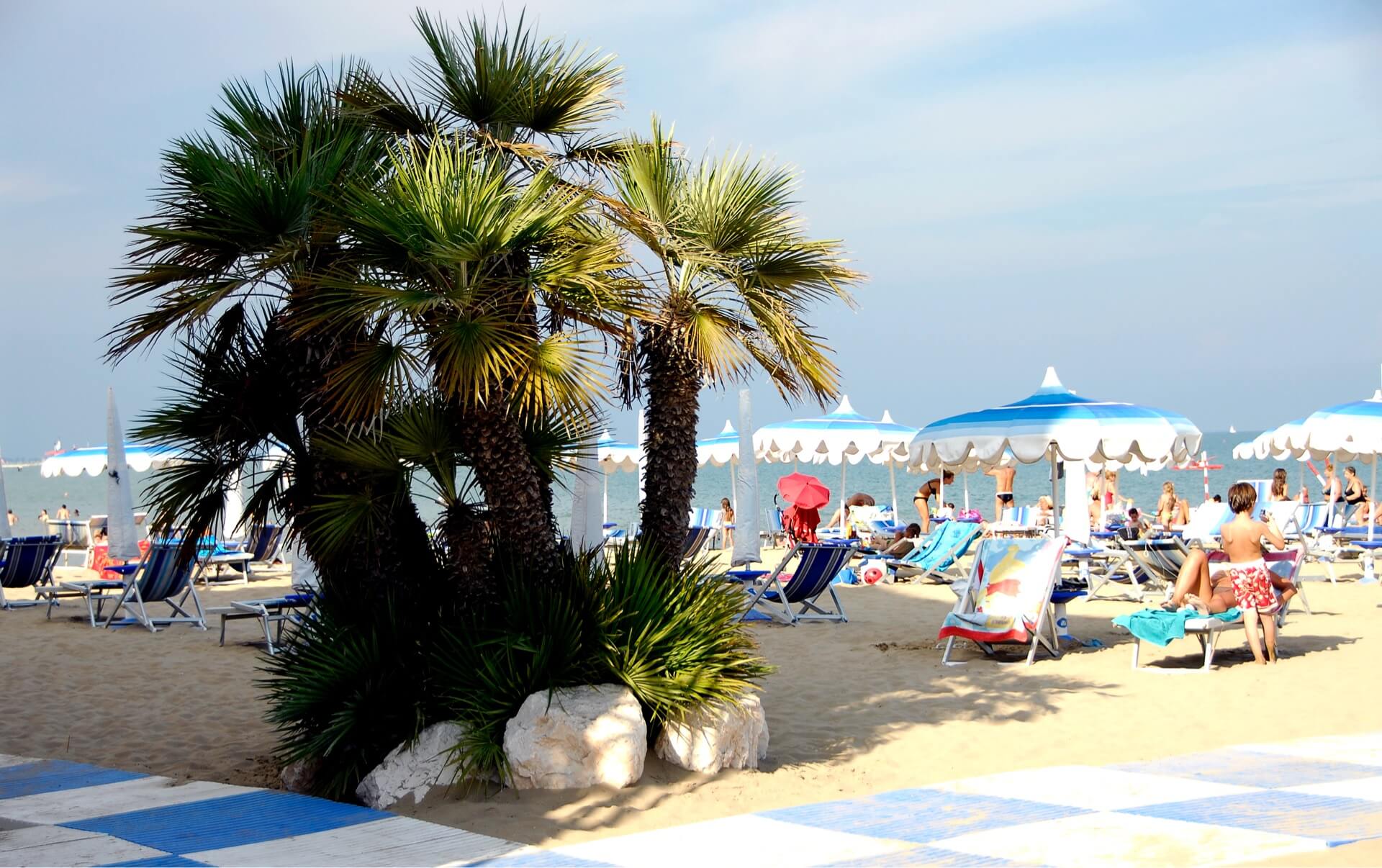 palme spiaggia (1)