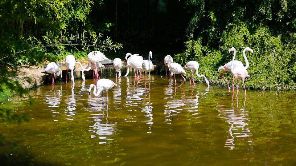 Zoologická zahrada Punta Verde